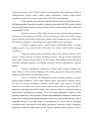 Rinkodaros galimybių analizė turizme 19 puslapis