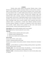 Rinkodaros galimybių analizė turizme 4 puslapis