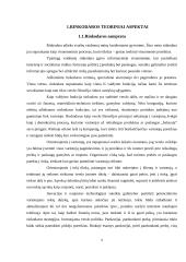 Rinkodaros galimybių analizė turizme 5 puslapis