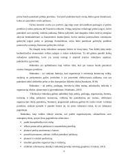 Rinkodaros galimybių analizė turizme 6 puslapis