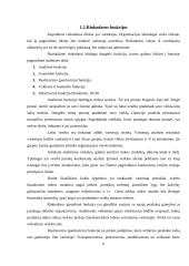 Rinkodaros galimybių analizė turizme 8 puslapis