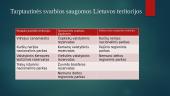 Lietuvos saugomos teritorijos ir jų sistema 5 puslapis