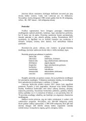 Chemijos pramonės įtaka gamtai 10 puslapis