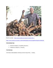 Medžių ligos 15 puslapis