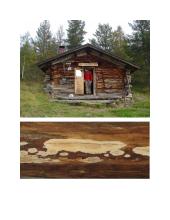 Medžių ligos 8 puslapis