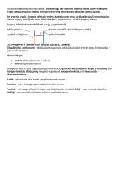 Anatomija: vidaus organai 6 puslapis