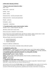 Anatomija: vidaus organai 7 puslapis