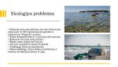 Baltijos jūra - geografija, klimatas, fauna ir flora 12 puslapis