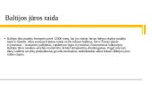 Baltijos jūra - geografija, klimatas, fauna ir flora 4 puslapis