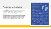 Baltijos jūra - geografija, klimatas, fauna ir flora 10 puslapis