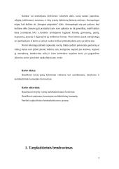 Kultūrinių veiksnių įtaka susitikimams, deryboms ir multikultūrės komandos formavimui 3 puslapis