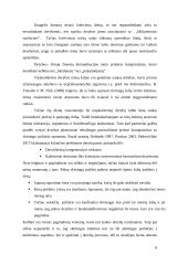 Kultūrinių veiksnių įtaka susitikimams, deryboms ir multikultūrės komandos formavimui 6 puslapis