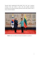 Kultūrinių veiksnių įtaka susitikimams, deryboms ir multikultūrės komandos formavimui 7 puslapis