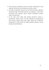 Kultūrinių veiksnių įtaka susitikimams, deryboms ir multikultūrės komandos formavimui 10 puslapis