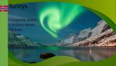 Norvegijos geografija, miestai, reljefas, fiordai, klimatas ir turizmas 2 puslapis