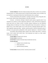 Tyrimų metodologija 2 puslapis