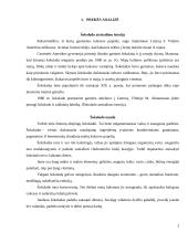 Tyrimų metodologija 3 puslapis