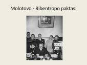 II pasaulinio karo pradžia 17 puslapis