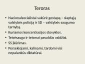 Trečiasis reichas. Nacistinė Vokietija  14 puslapis
