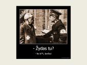 Trečiasis reichas. Nacistinė Vokietija  18 puslapis