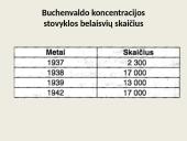 Trečiasis reichas. Nacistinė Vokietija  19 puslapis