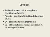 Trečiasis reichas. Nacistinė Vokietija  4 puslapis