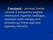 Fotosintezė ir fotosintezės eiga 2 puslapis
