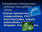 Fotosintezė ir fotosintezės eiga 20 puslapis