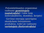 Fotosintezė ir fotosintezės eiga 4 puslapis