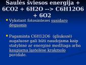 Fotosintezė ir fotosintezės eiga 5 puslapis