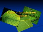 Fotosintezė ir fotosintezės eiga 6 puslapis