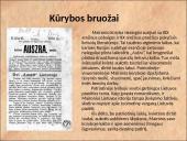 Maironis - Jonas Mačiulis (1862 - 1932) 12 puslapis