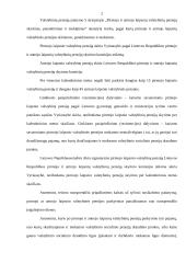 Socialinės apsaugos teisė Lietuvoje 2 puslapis