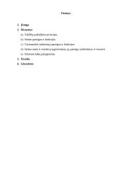 Seimo nario kandidatūra į ministrus 2 puslapis