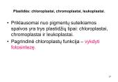 Ląstelė ir augalai 17 puslapis