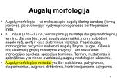 Ląstelė ir augalai 6 puslapis