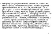 Ląstelė ir augalai 9 puslapis