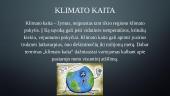 Anglies dioksidas ir klimato kaita 12 puslapis