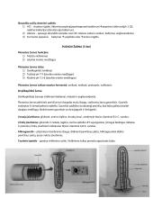 Fermentai ir žmogaus organai 4 puslapis