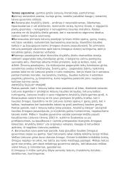 Baranausko poema "Anykščių šilelis" 4 puslapis