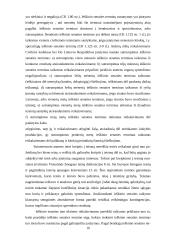 Sąlyginis sandoris 17 puslapis
