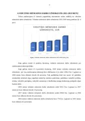 Pagrindinių ekonominės raidos rodiklių lyginamoji analizė Lietuvoje 10 puslapis