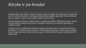 Oskaras Vaildas ir jo kūrinys „Doriano Grėjaus portretas“  3 puslapis