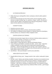 Jono Biliūno asmenybė. Kūrinių analizės 2 puslapis