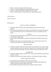 Jono Biliūno asmenybė. Kūrinių analizės 11 puslapis