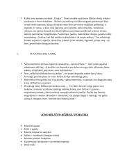 Jono Biliūno asmenybė. Kūrinių analizės 3 puslapis