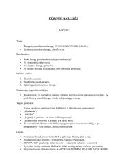 Jono Biliūno asmenybė. Kūrinių analizės 5 puslapis