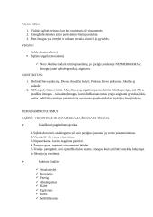 Jono Biliūno asmenybė. Kūrinių analizės 6 puslapis