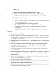 Jono Biliūno asmenybė. Kūrinių analizės 7 puslapis