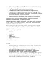 Jono Biliūno asmenybė. Kūrinių analizės 9 puslapis